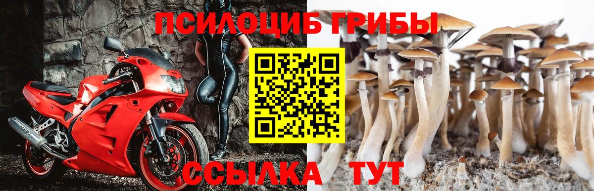 Псилоцибиновые грибы Psilocybe  Вход с VPN  Галлюциногенные грибы Cubensis  Дмитров 