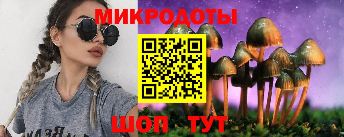 Псилоцибиновые грибы GOLDEN TEACHER Дмитров